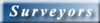 Logo Text